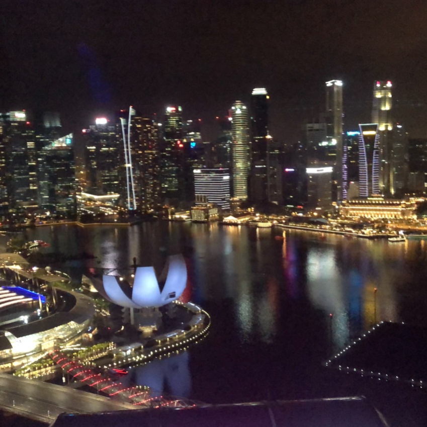 View on Marina Bay from Singapore Flyer
