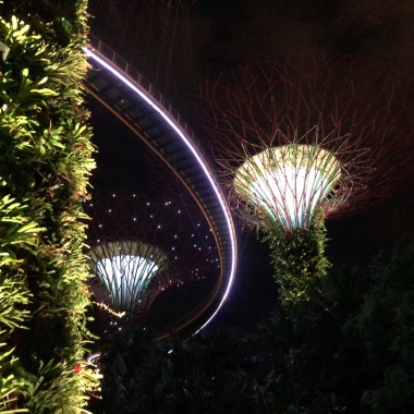 Gardens by the Bay - the Supertrees Grove